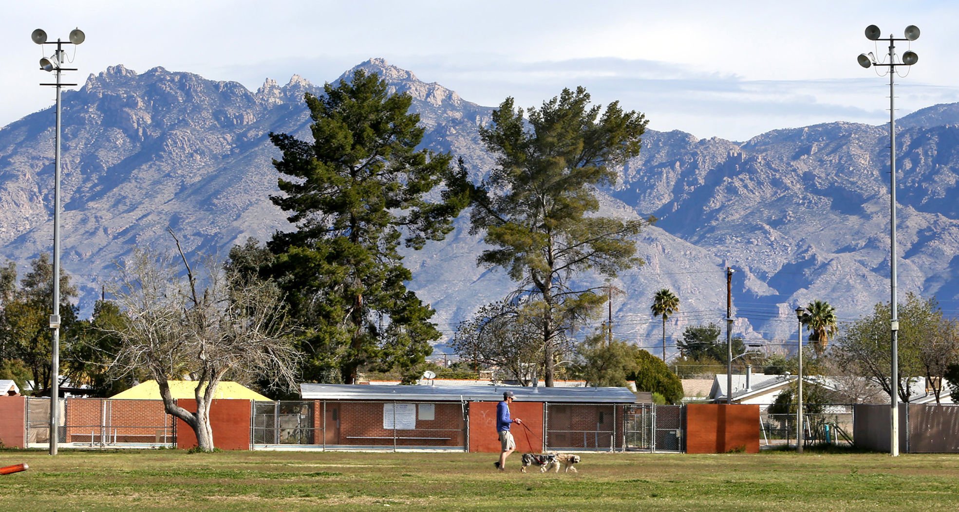 Palo Verde Park